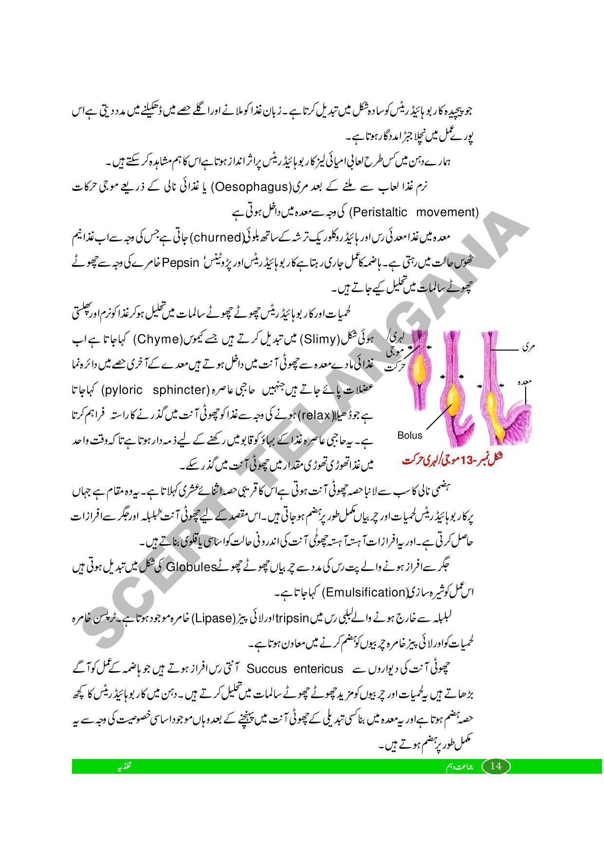 TS SCERT Class 10 Biological Science (Urdu Medium) Text Book - Page 26
