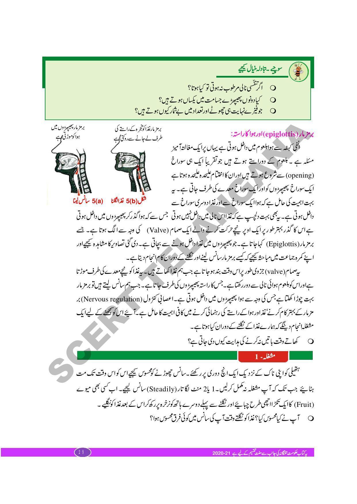 TS SCERT Class 10 Biological Science (Urdu Medium) Text Book - Page 41