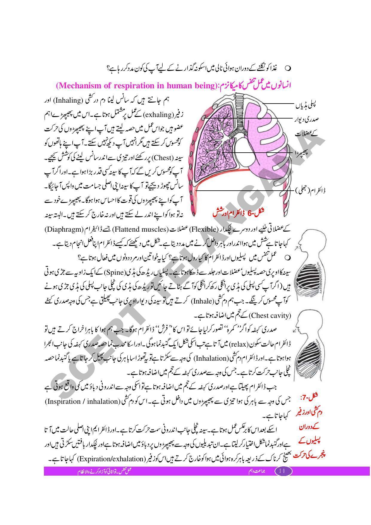 TS SCERT Class 10 Biological Science (Urdu Medium) Text Book - Page 42