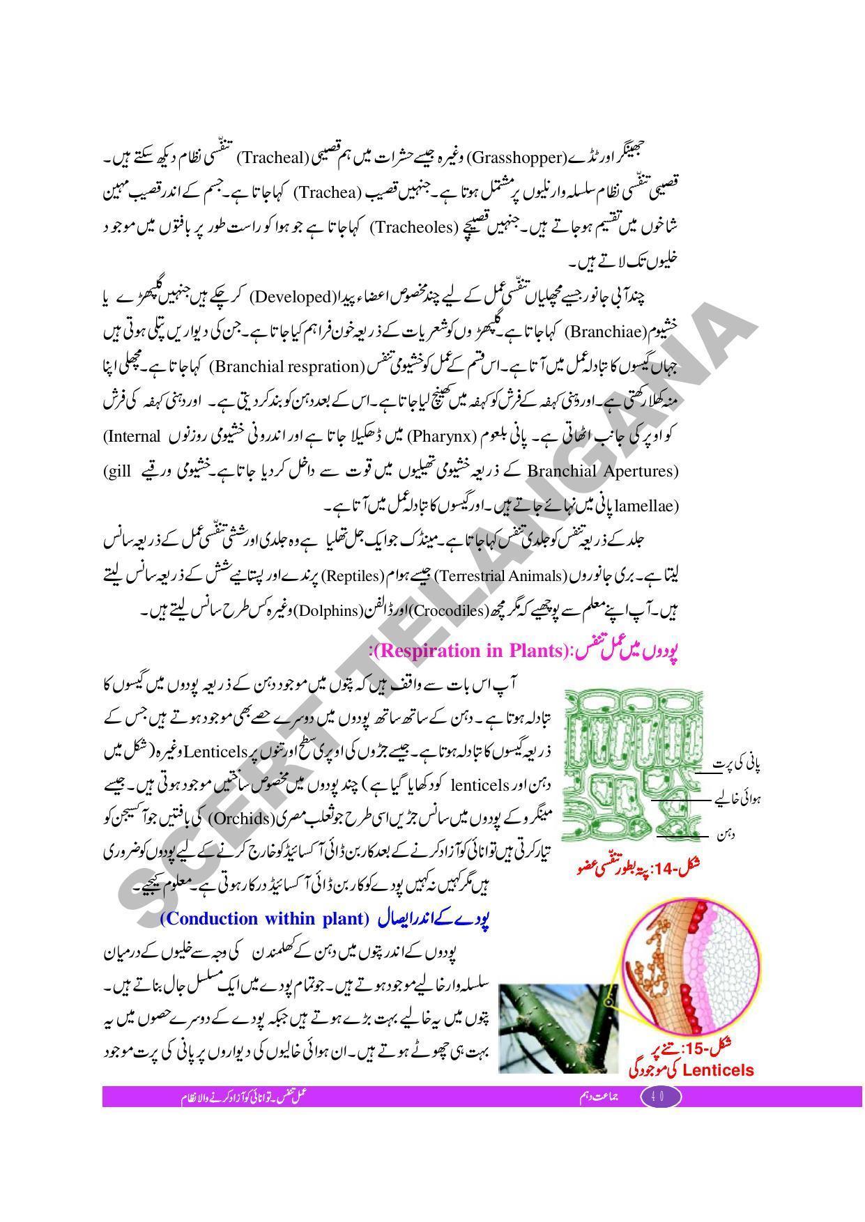 TS SCERT Class 10 Biological Science (Urdu Medium) Text Book - Page 52