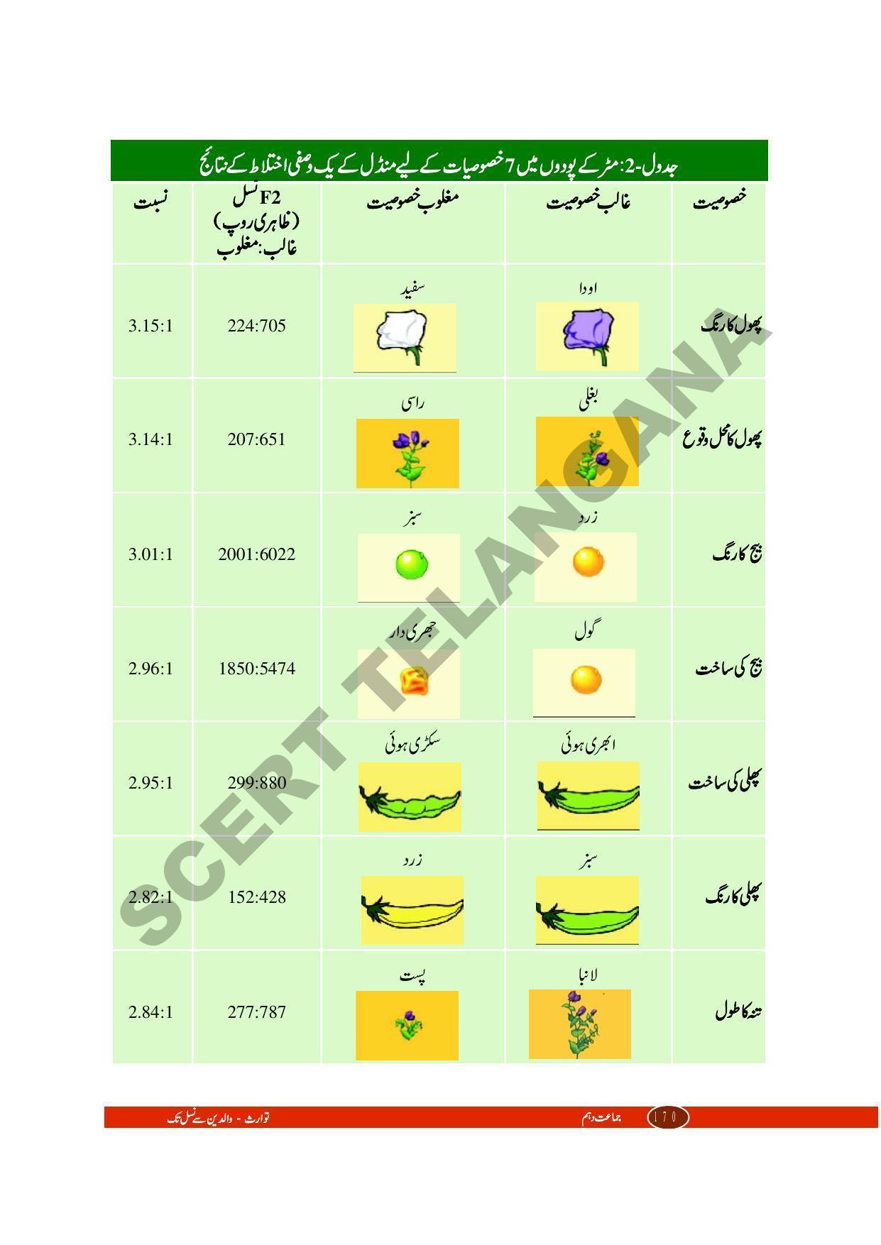 TS SCERT Class 10 Biological Science (Urdu Medium) Text Book - Page 76