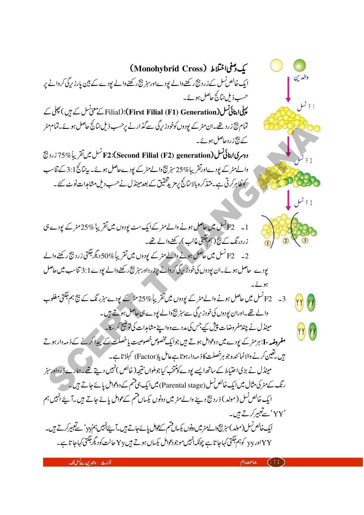 TS SCERT Class 10 Biological Science (Urdu Medium) Text Book - Page 78