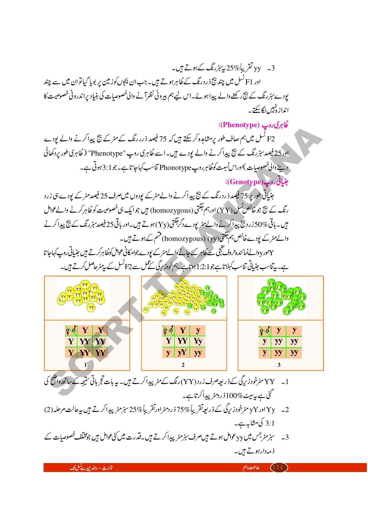 TS SCERT Class 10 Biological Science (Urdu Medium) Text Book - Page 80