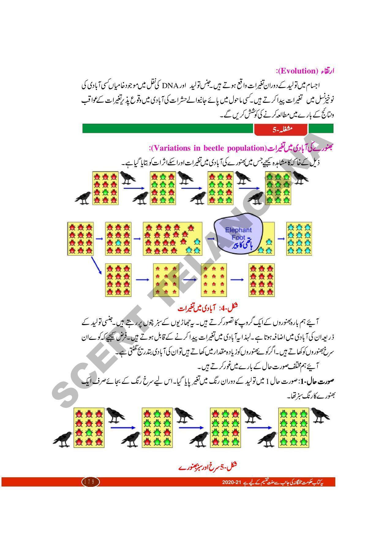 TS SCERT Class 10 Biological Science (Urdu Medium) Text Book - Page 85