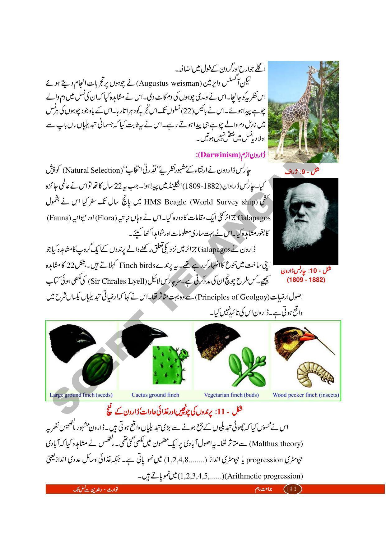 TS SCERT Class 10 Biological Science (Urdu Medium) Text Book - Page 88