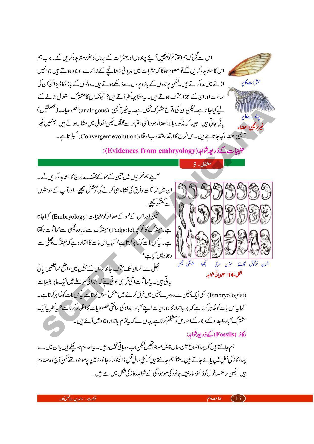 TS SCERT Class 10 Biological Science (Urdu Medium) Text Book - Page 92