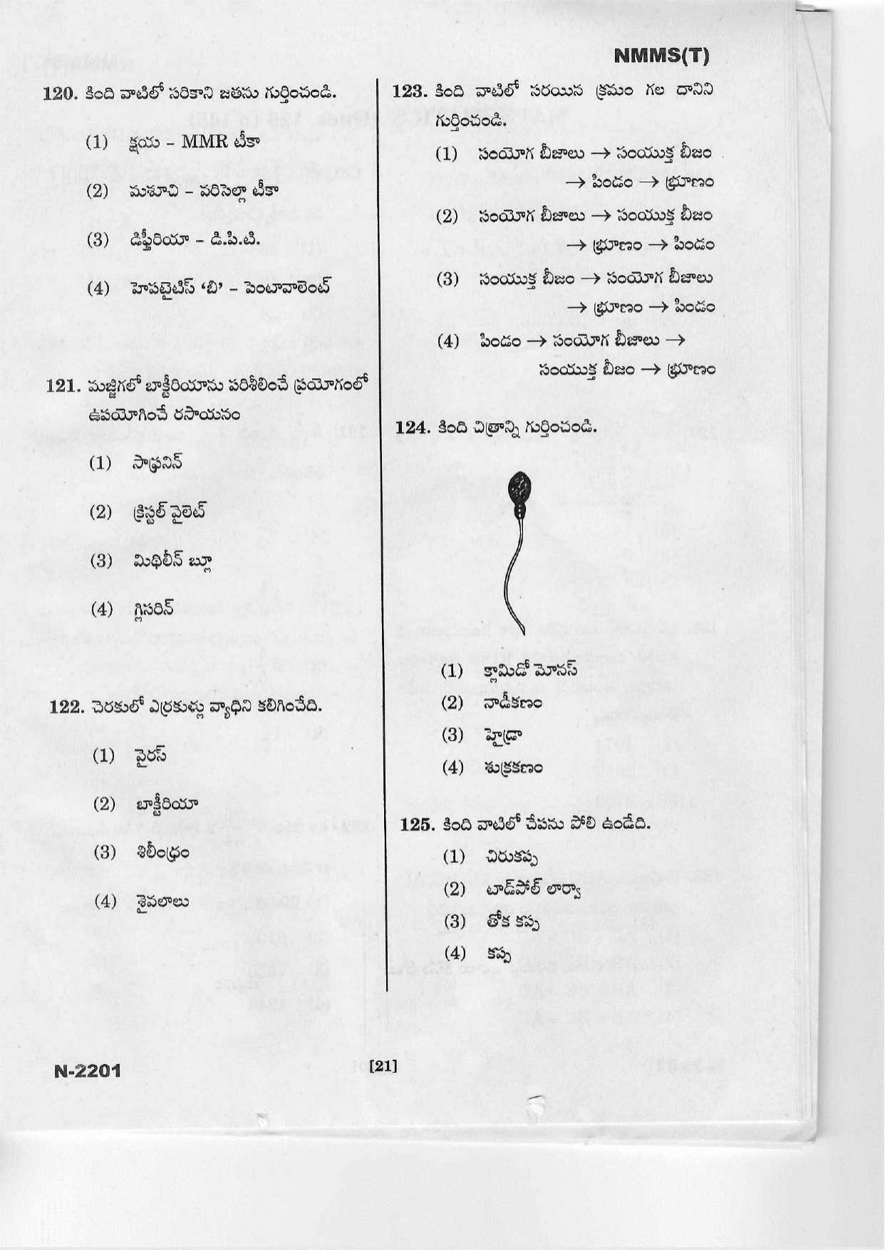 Telangana NMMS March 2022 Telugu Question Paper - Page 19