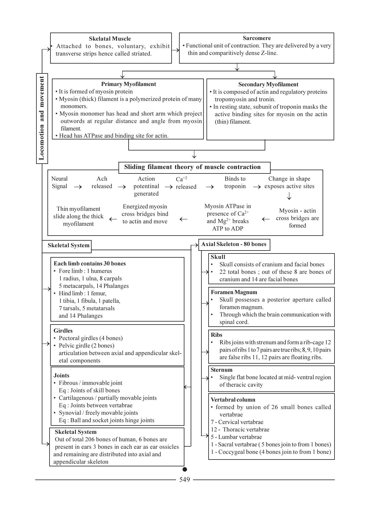 GSEB HSC Biology Question Paper (English Medium)- Chapter 26 - Page 16