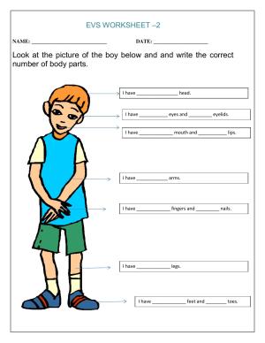 Worksheet for Class 1 EVS Revision Worksheet 5