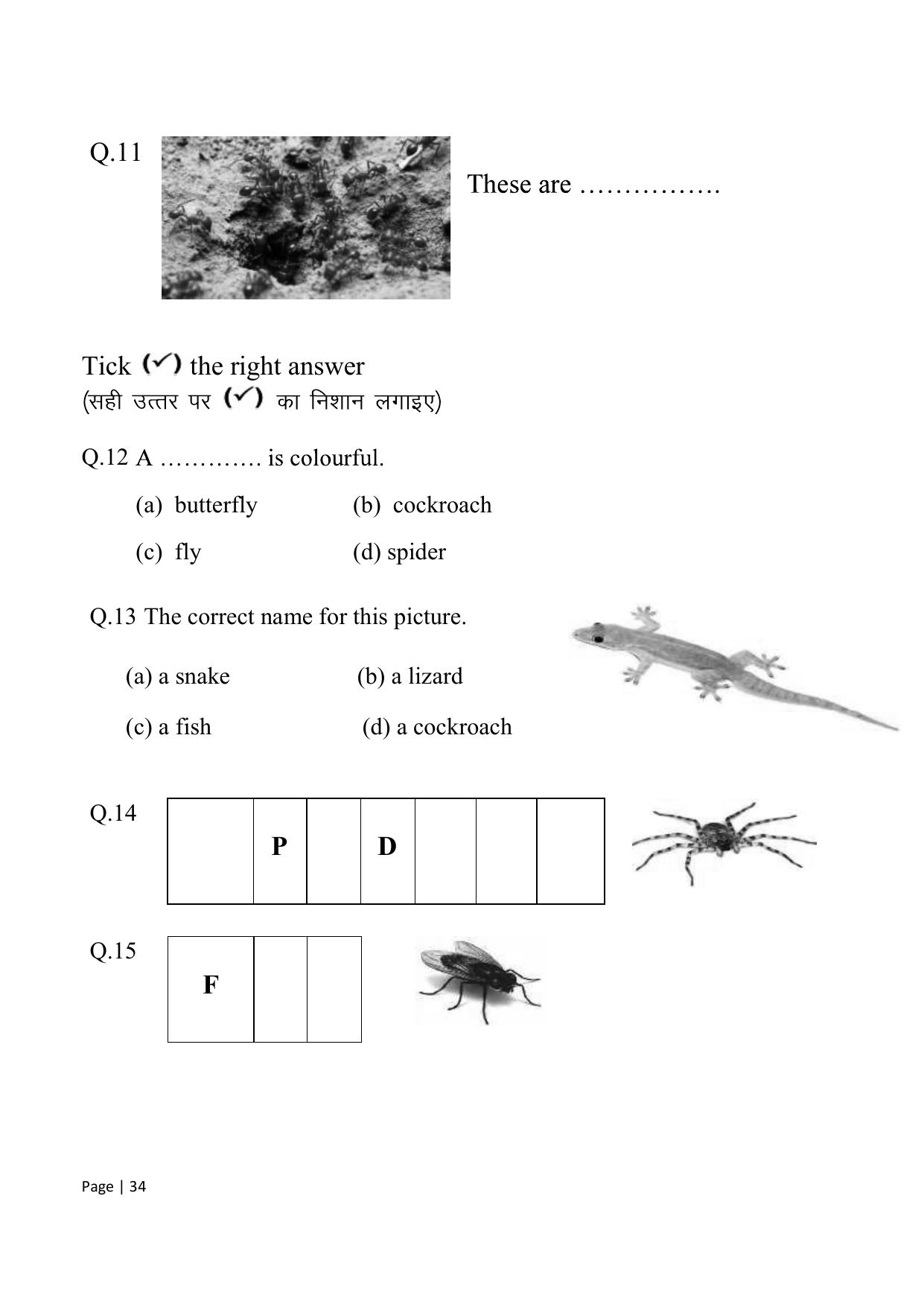 Chhattisgarh Board Class 1 English Question Bank - Page 40