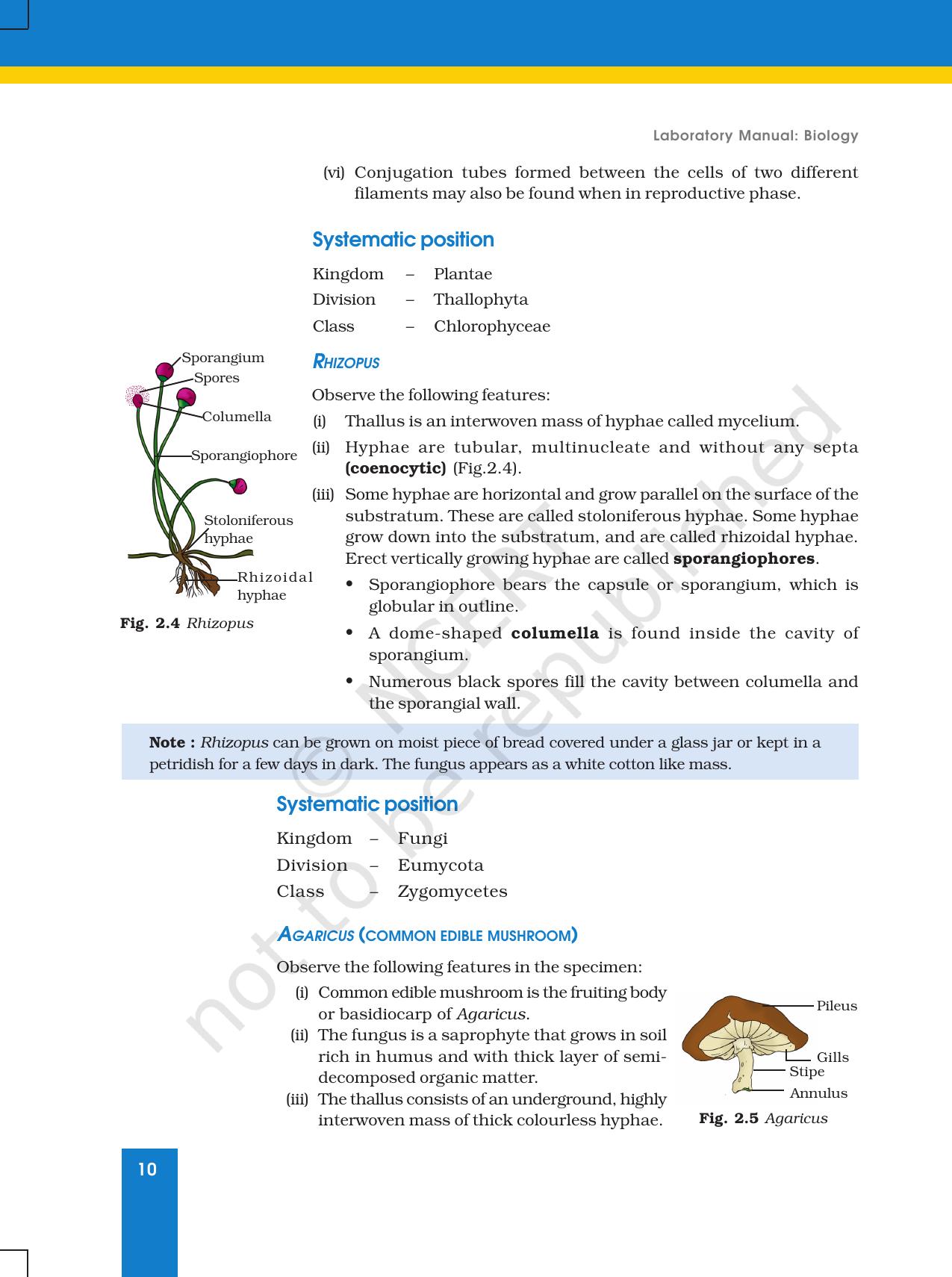 NCERT Laboratory Manuals for Class XI Biology - Exercise 2 - Page 3