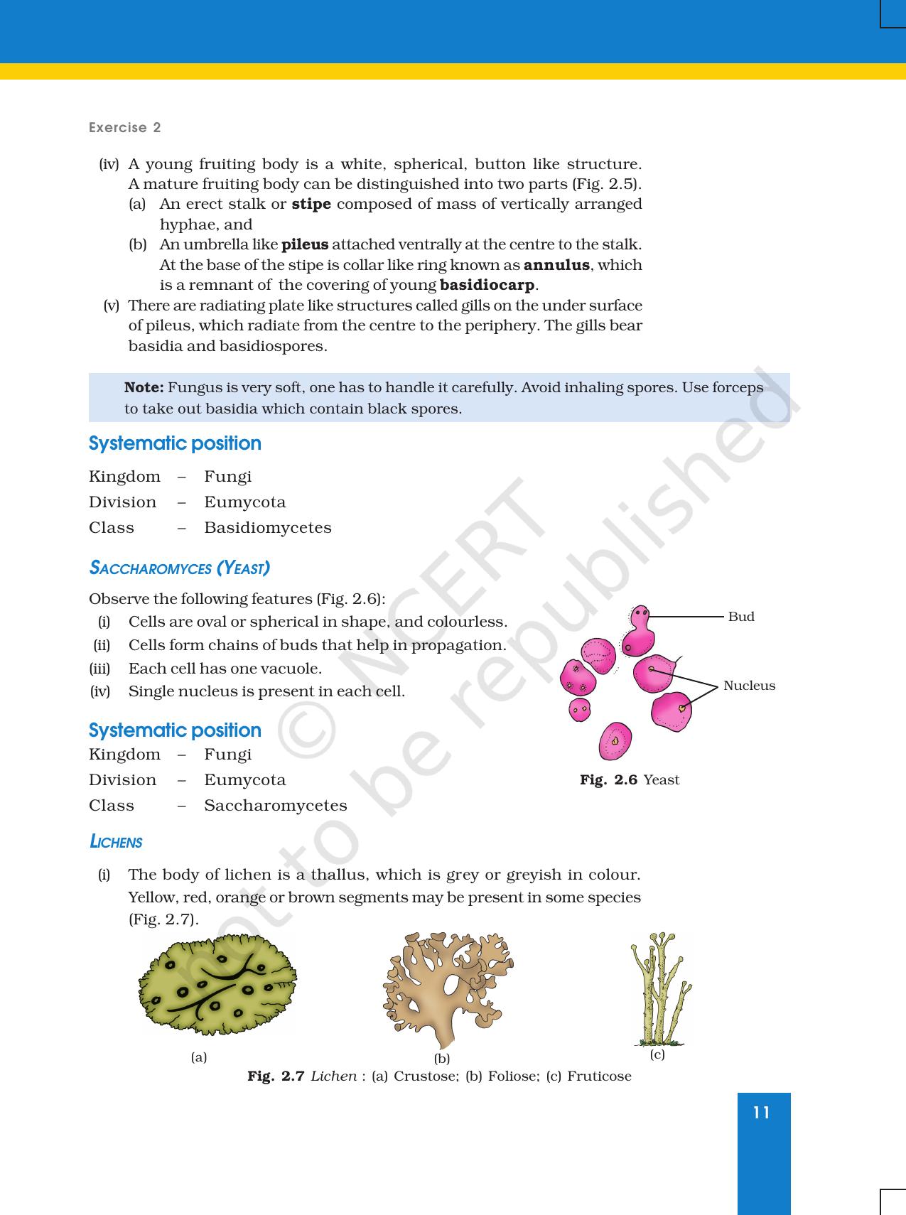NCERT Laboratory Manuals for Class XI Biology - Exercise 2 - Page 4