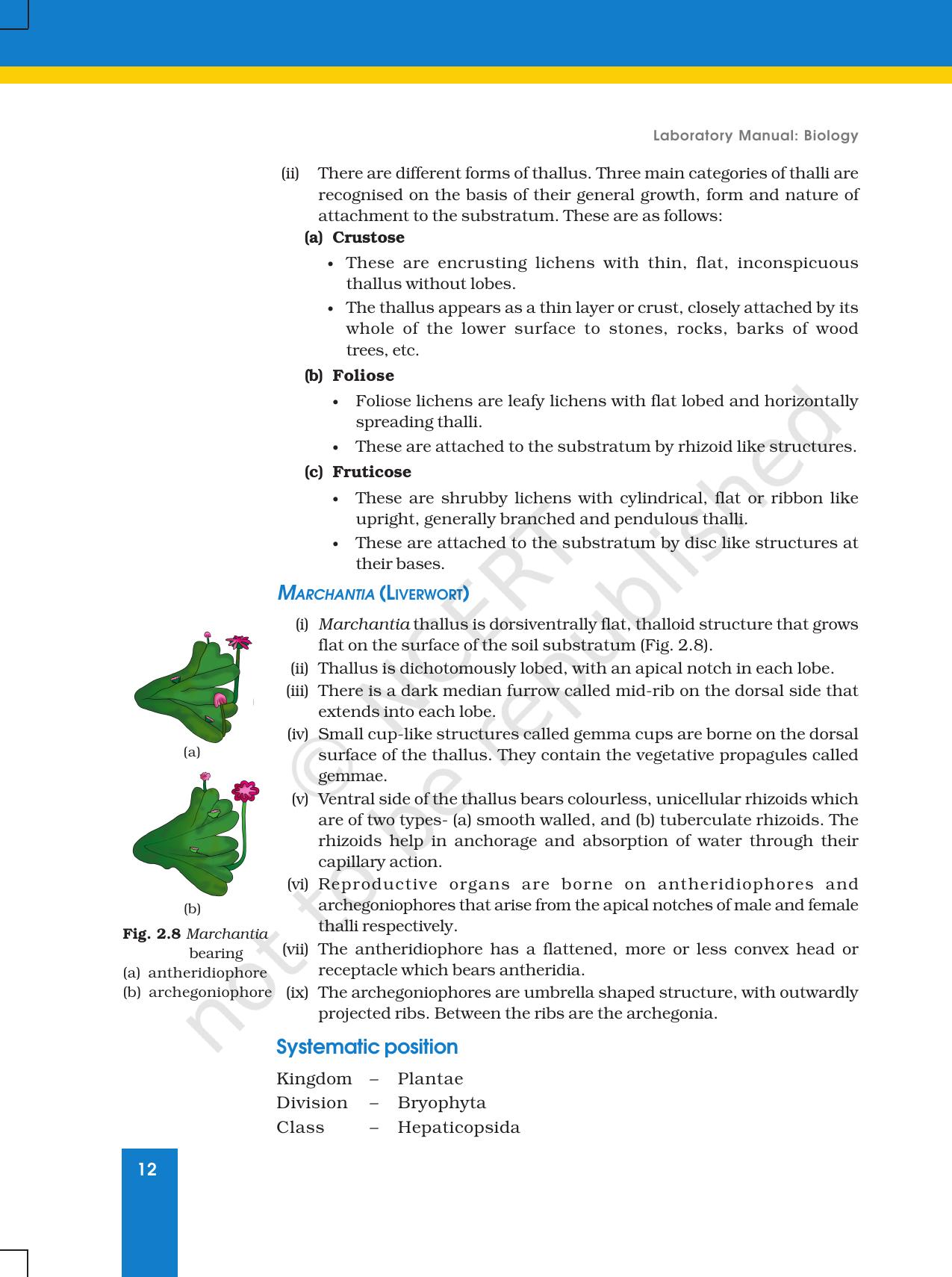 NCERT Laboratory Manuals for Class XI Biology - Exercise 2 - Page 5