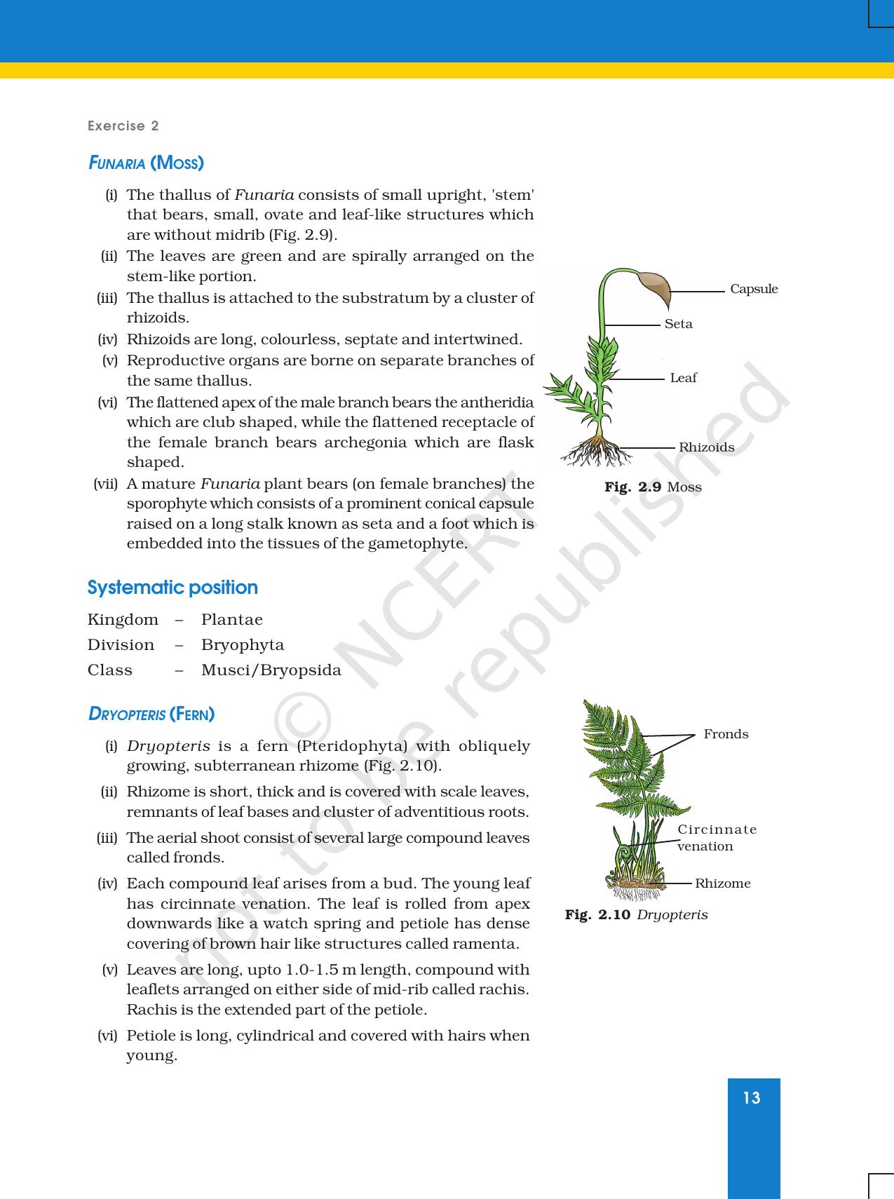 NCERT Laboratory Manuals for Class XI Biology - Exercise 2 - Page 6