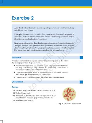 NCERT Laboratory Manuals for Class XI Biology - Exercise 2