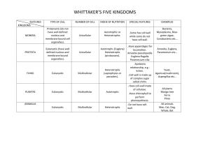 CBSE Worksheets for Class 9 Biology Why Do We Fall Ill Assignment 1