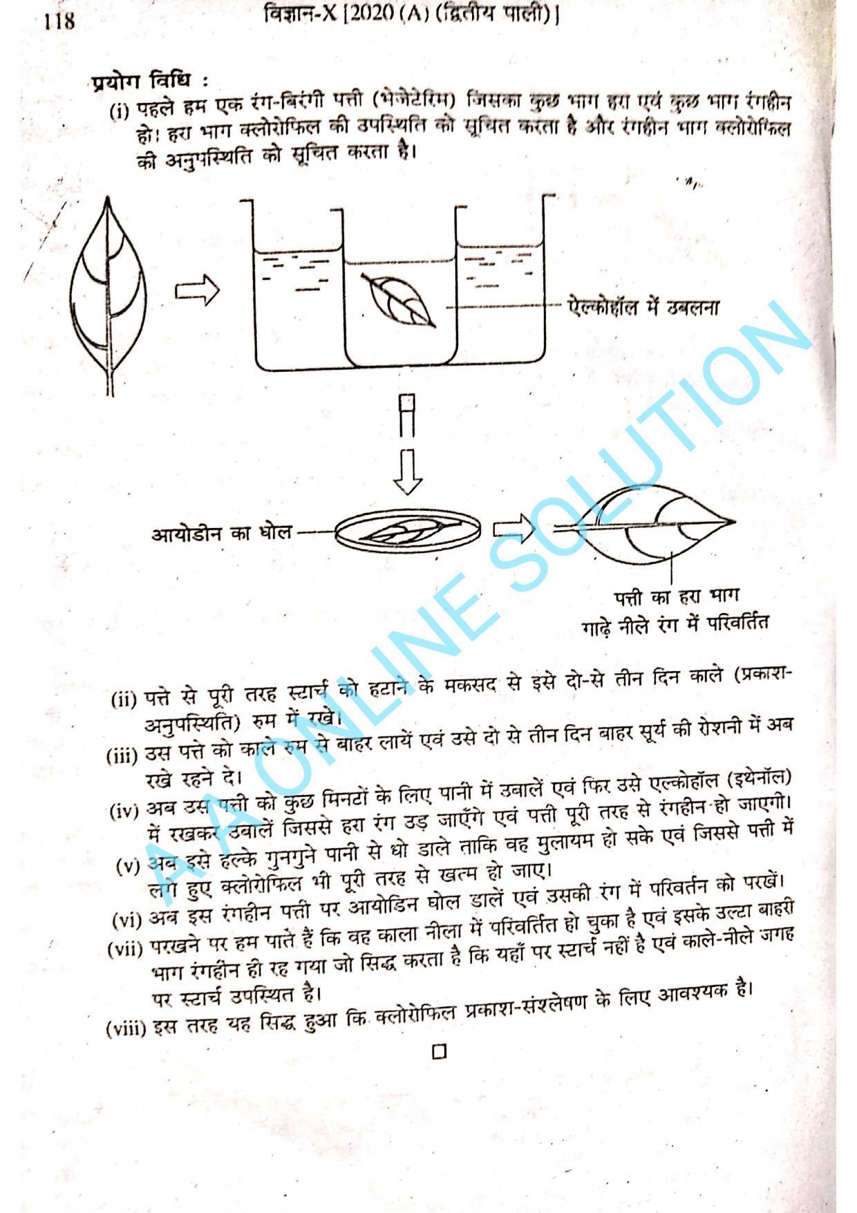 Bihar Board Class 10 Science 2020 (2nd Sitting) Question Paper - Page 9