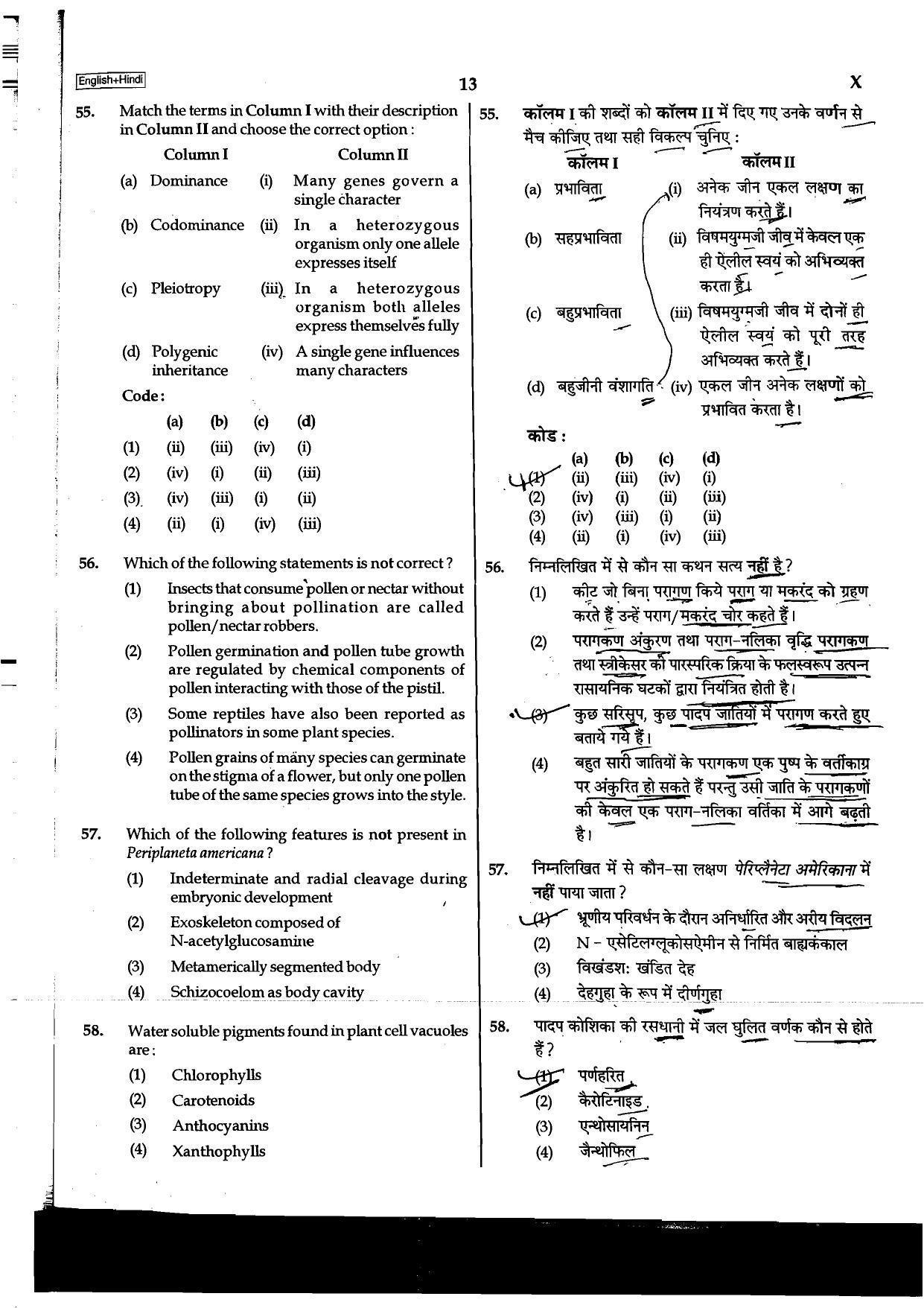 NEET Code B/ Q/ X 2016 Question Paper - Page 13