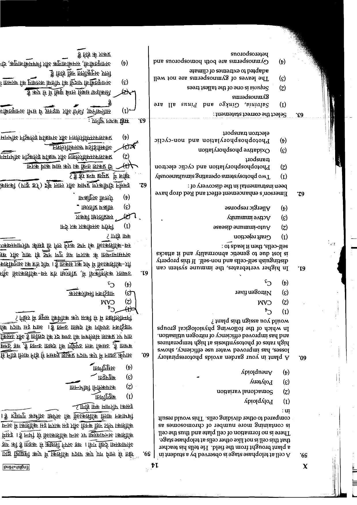 NEET Code B/ Q/ X 2016 Question Paper - Page 14