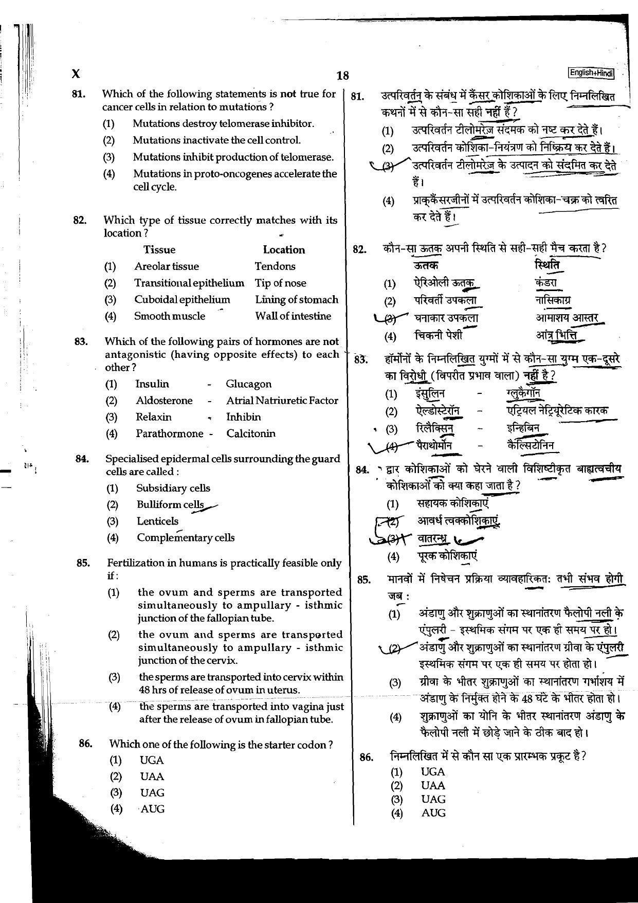 NEET Code B/ Q/ X 2016 Question Paper - Page 18