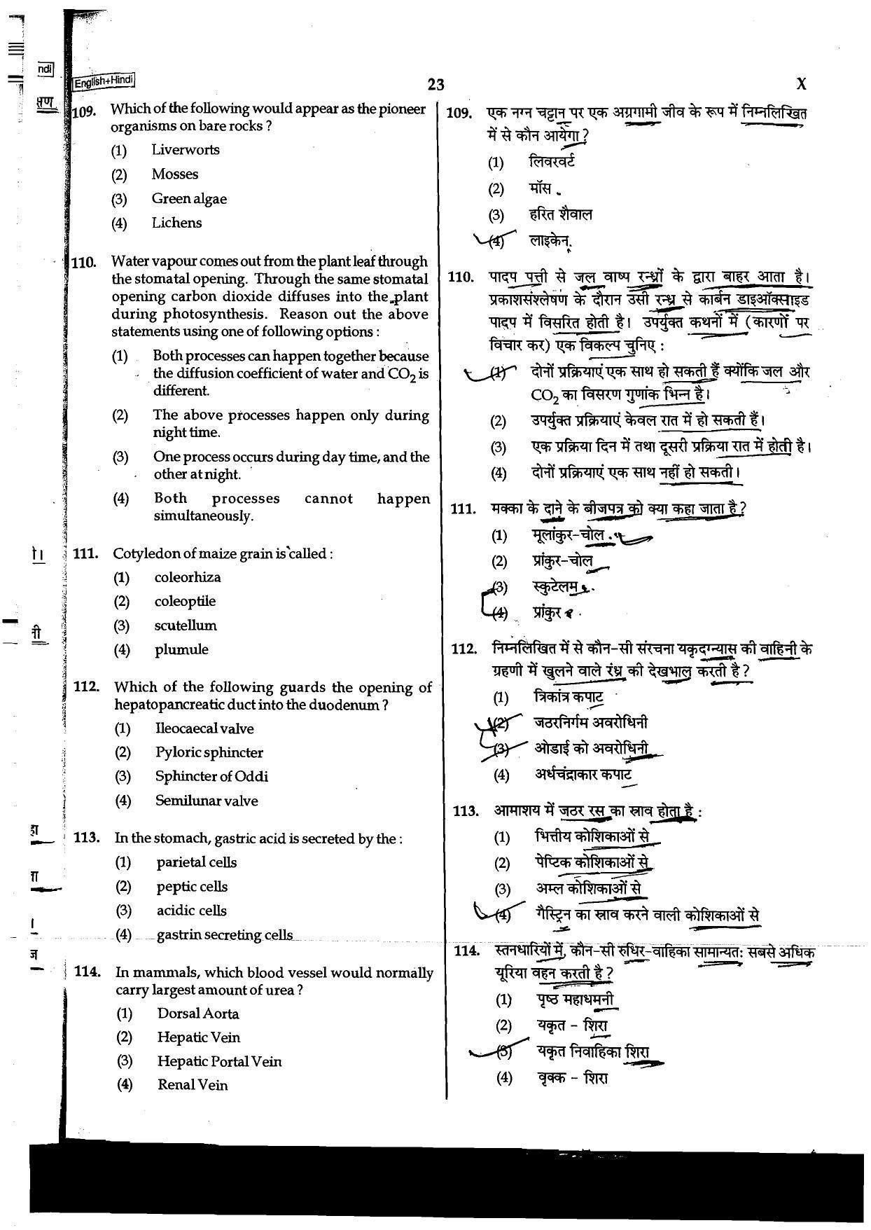 NEET Code B/ Q/ X 2016 Question Paper - Page 23