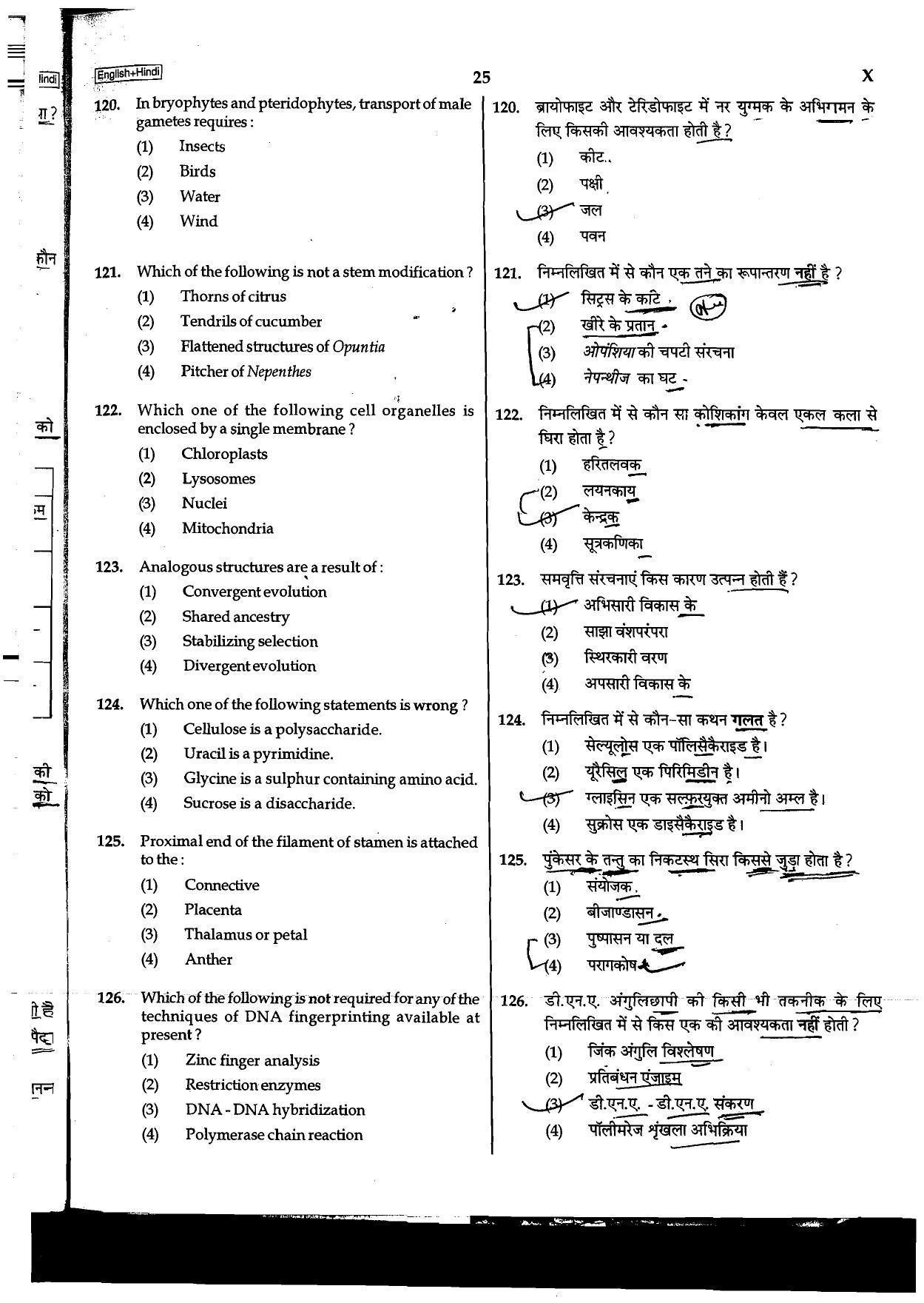 NEET Code B/ Q/ X 2016 Question Paper - Page 25
