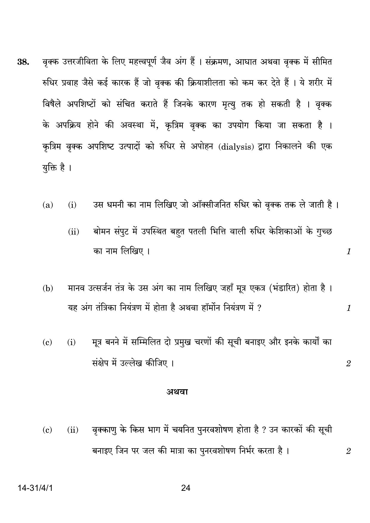 CBSE Class 10 31-4-1 Science 2024 Question Paper - Page 24