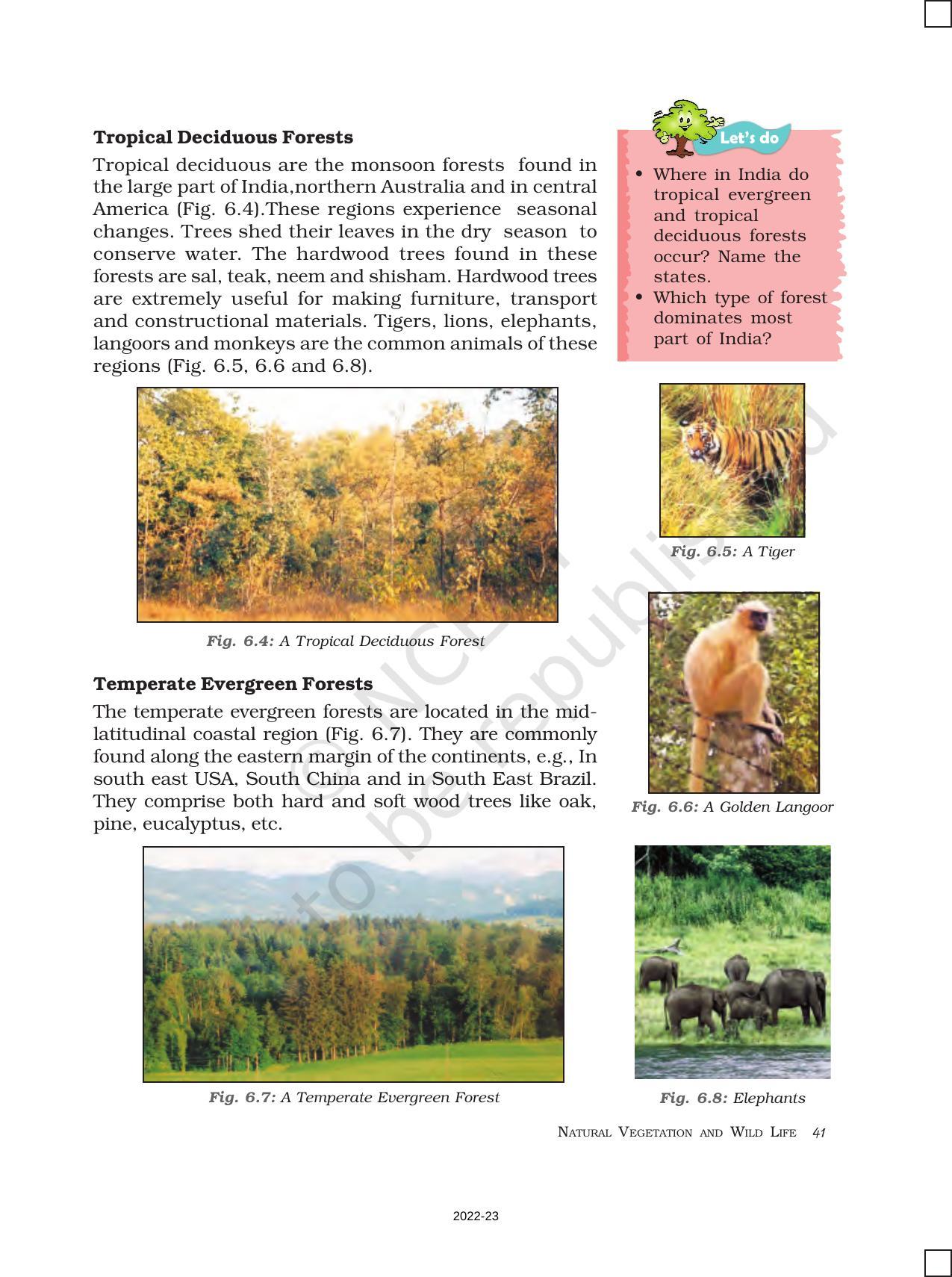 NCERT Book for Class 7 Social Science(Geography): Chapter 6-Natural Vegetation and Wildlife - Page 3