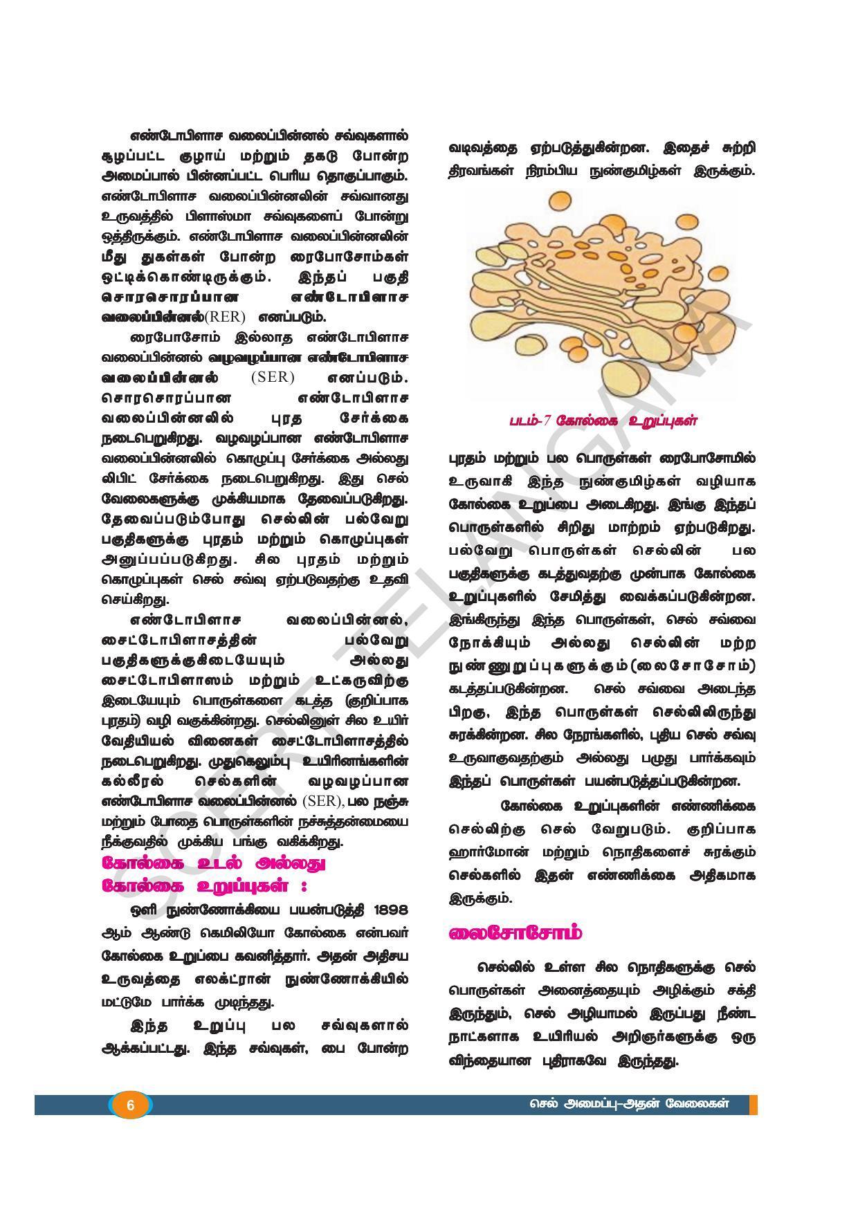 TS SCERT Class 9 Biological Science (Tamil Medium) Text Book - Page 18