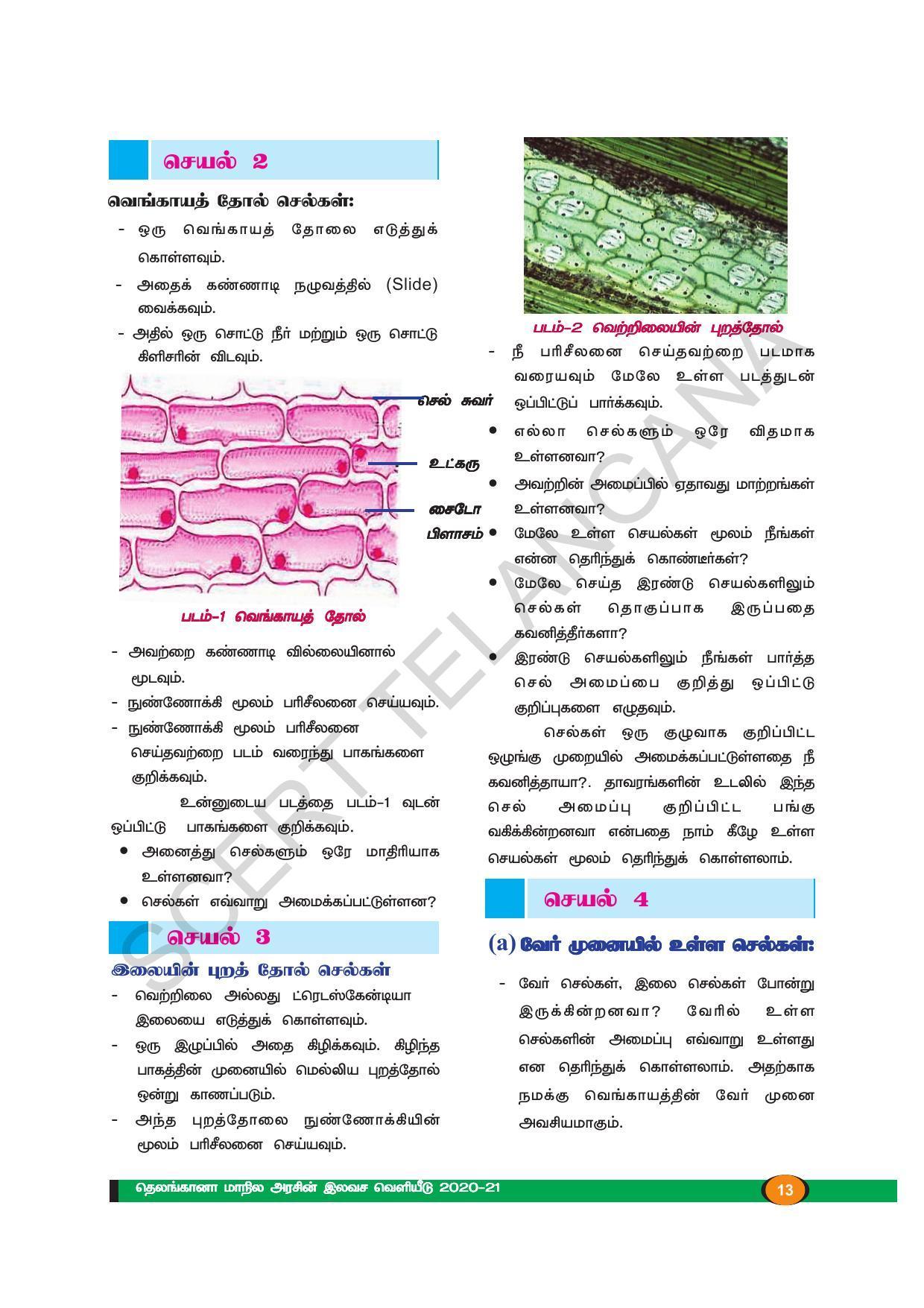 TS SCERT Class 9 Biological Science (Tamil Medium) Text Book - Page 25