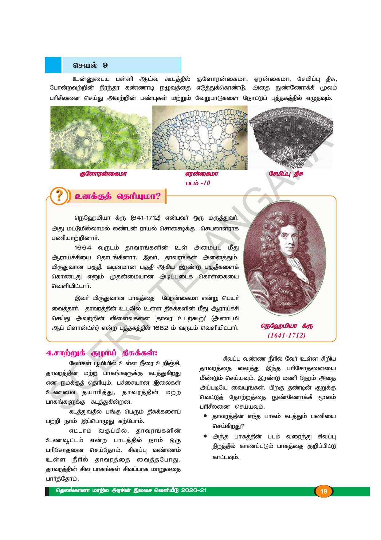 TS SCERT Class 9 Biological Science (Tamil Medium) Text Book - Page 31
