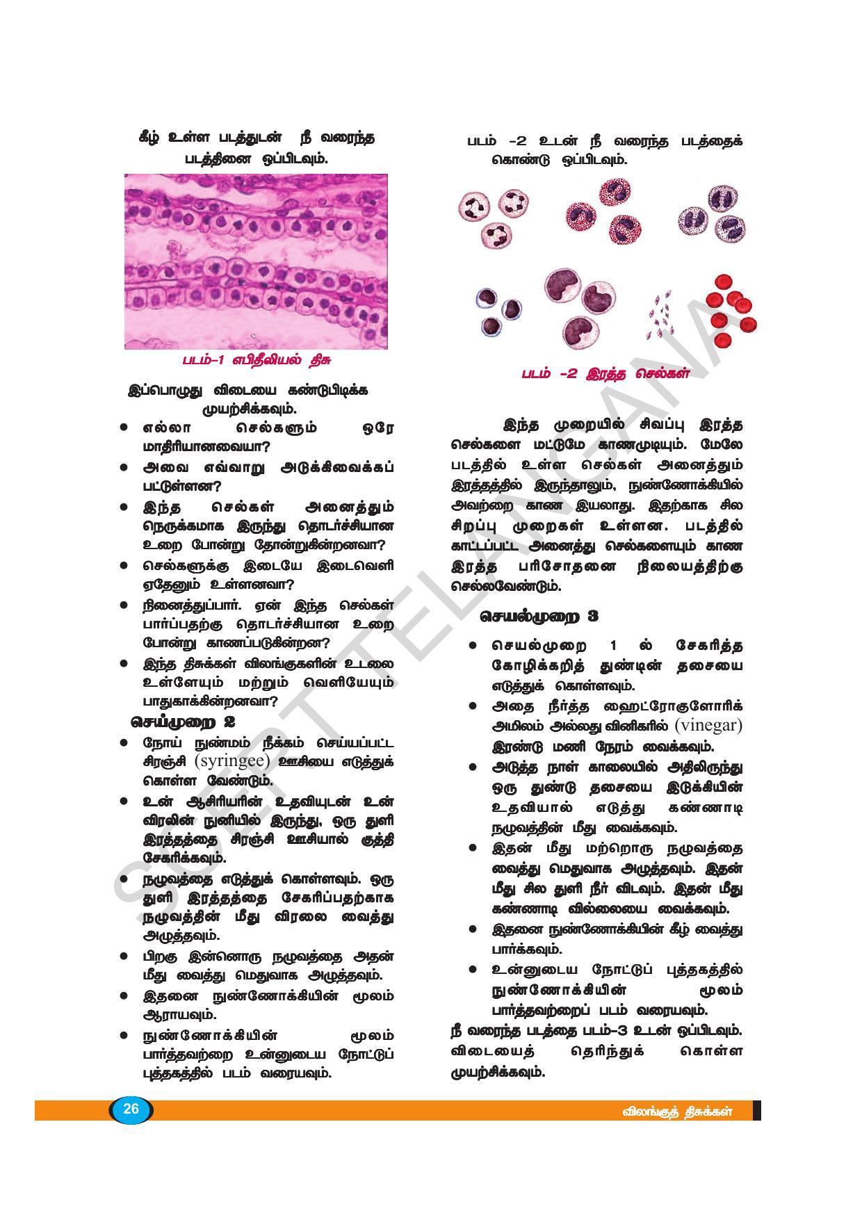 TS SCERT Class 9 Biological Science (Tamil Medium) Text Book - Page 38