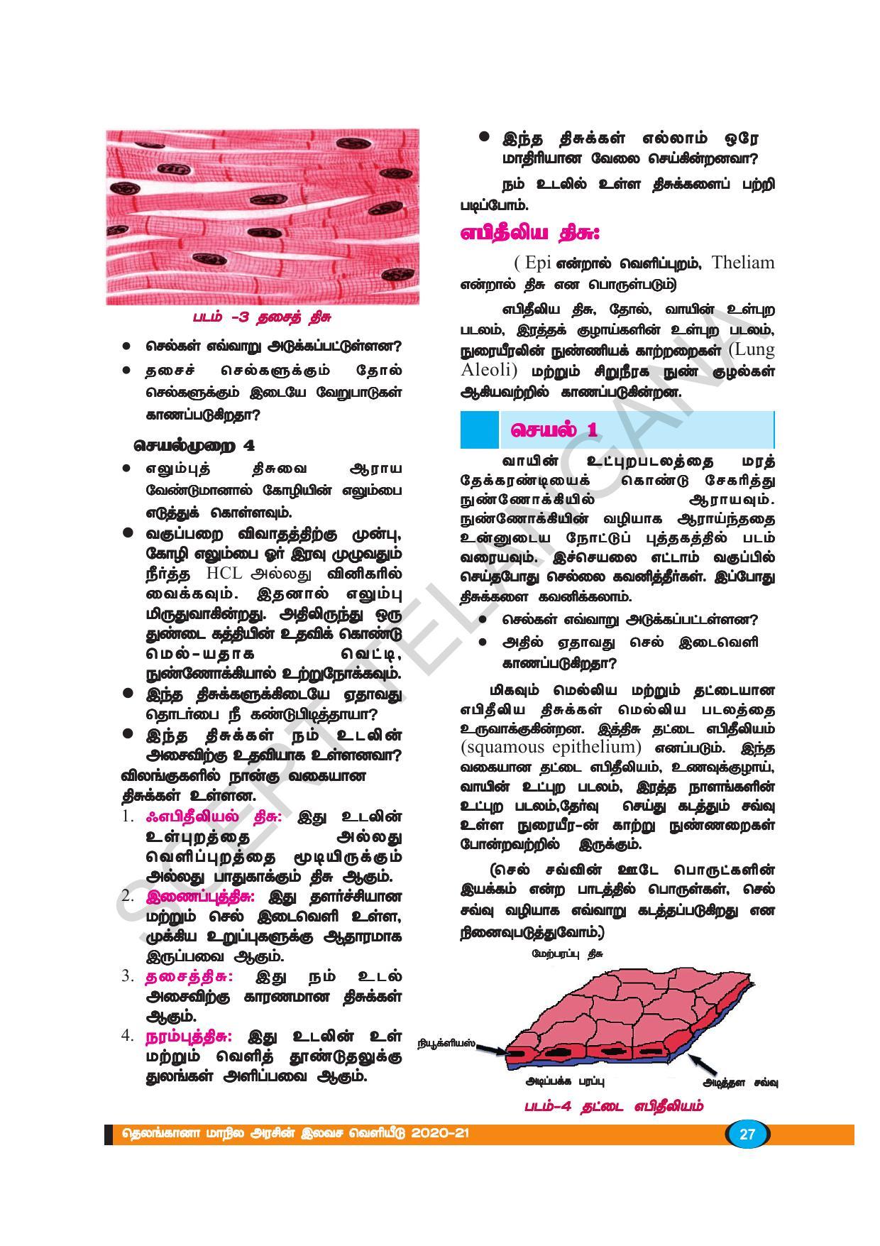 TS SCERT Class 9 Biological Science (Tamil Medium) Text Book - Page 39