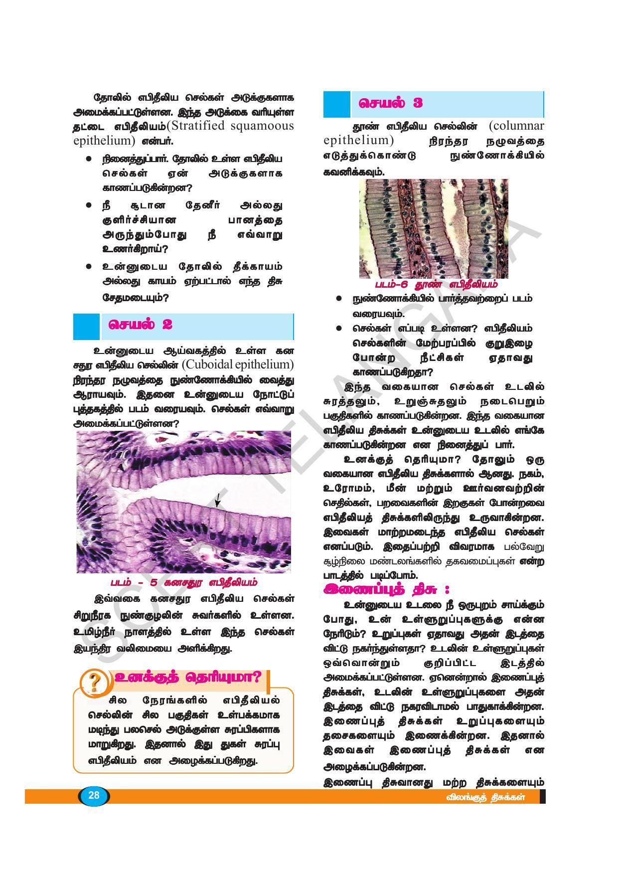 TS SCERT Class 9 Biological Science (Tamil Medium) Text Book - Page 40