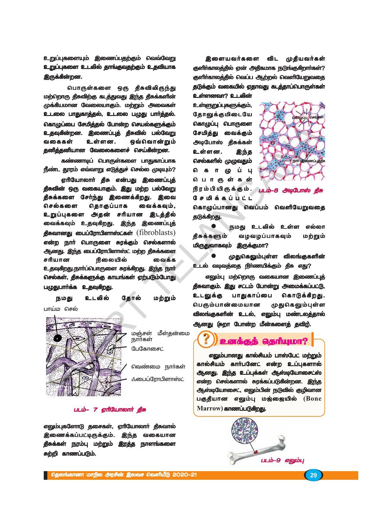 TS SCERT Class 9 Biological Science (Tamil Medium) Text Book - Page 41
