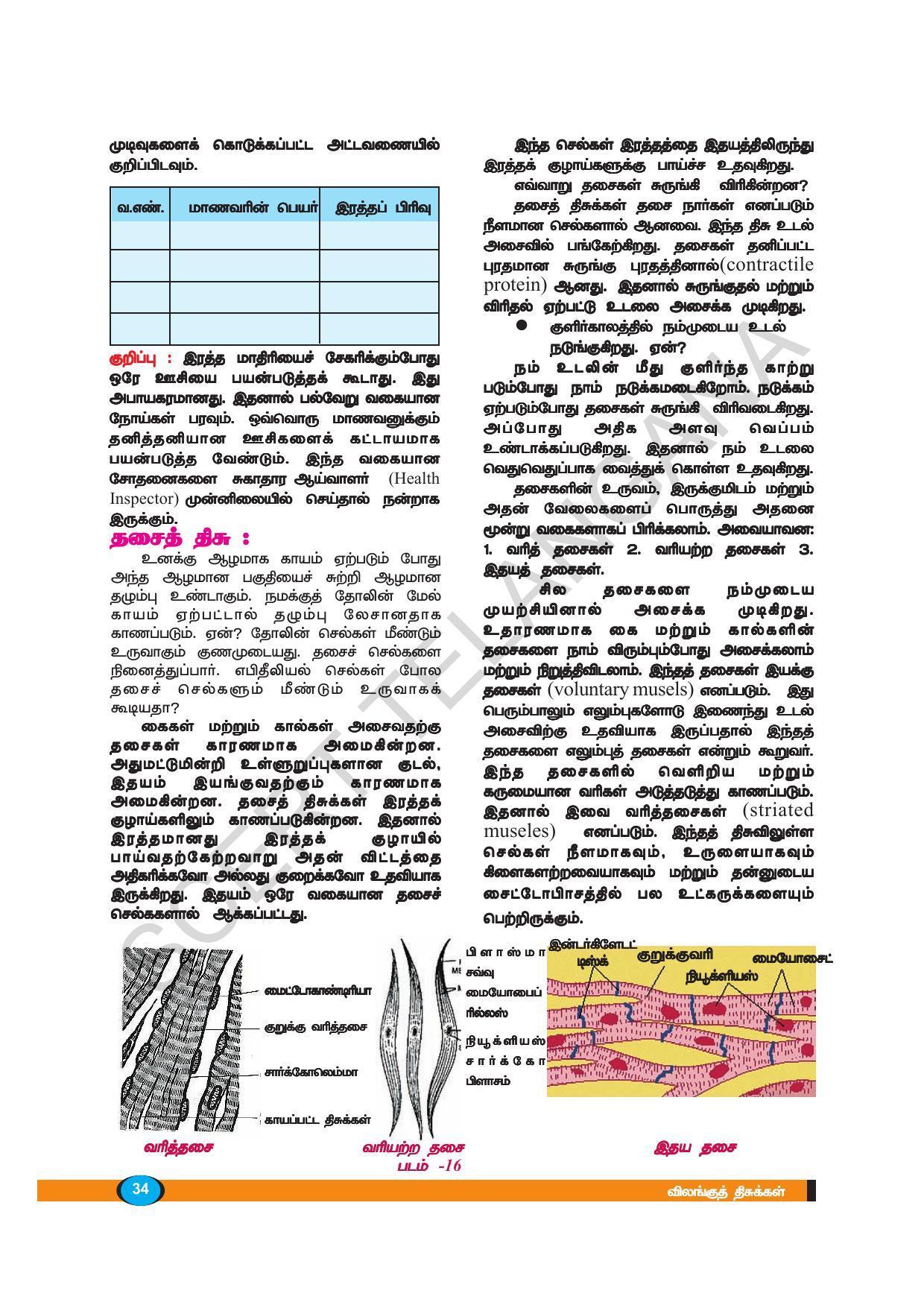 TS SCERT Class 9 Biological Science (Tamil Medium) Text Book - Page 46