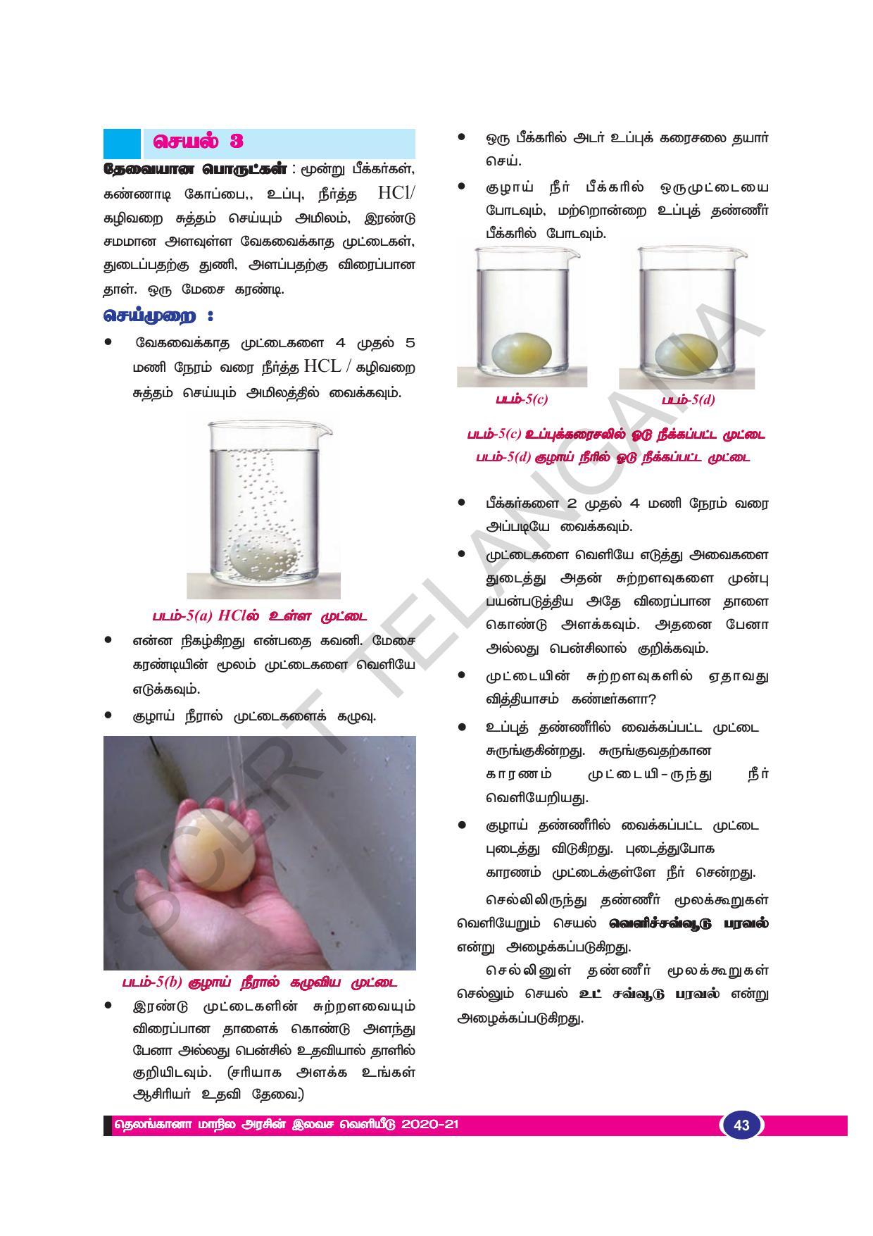 TS SCERT Class 9 Biological Science (Tamil Medium) Text Book - Page 55