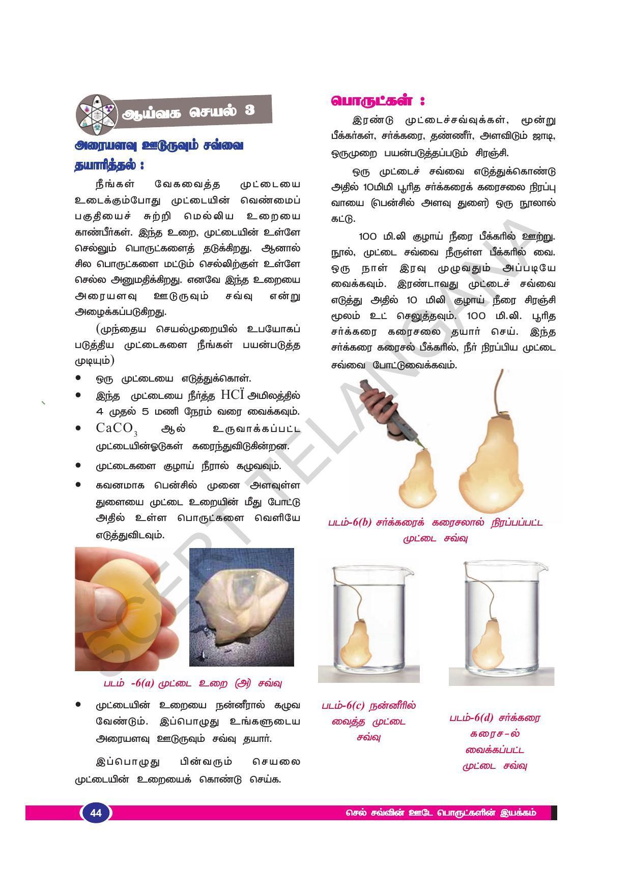 TS SCERT Class 9 Biological Science (Tamil Medium) Text Book - Page 56