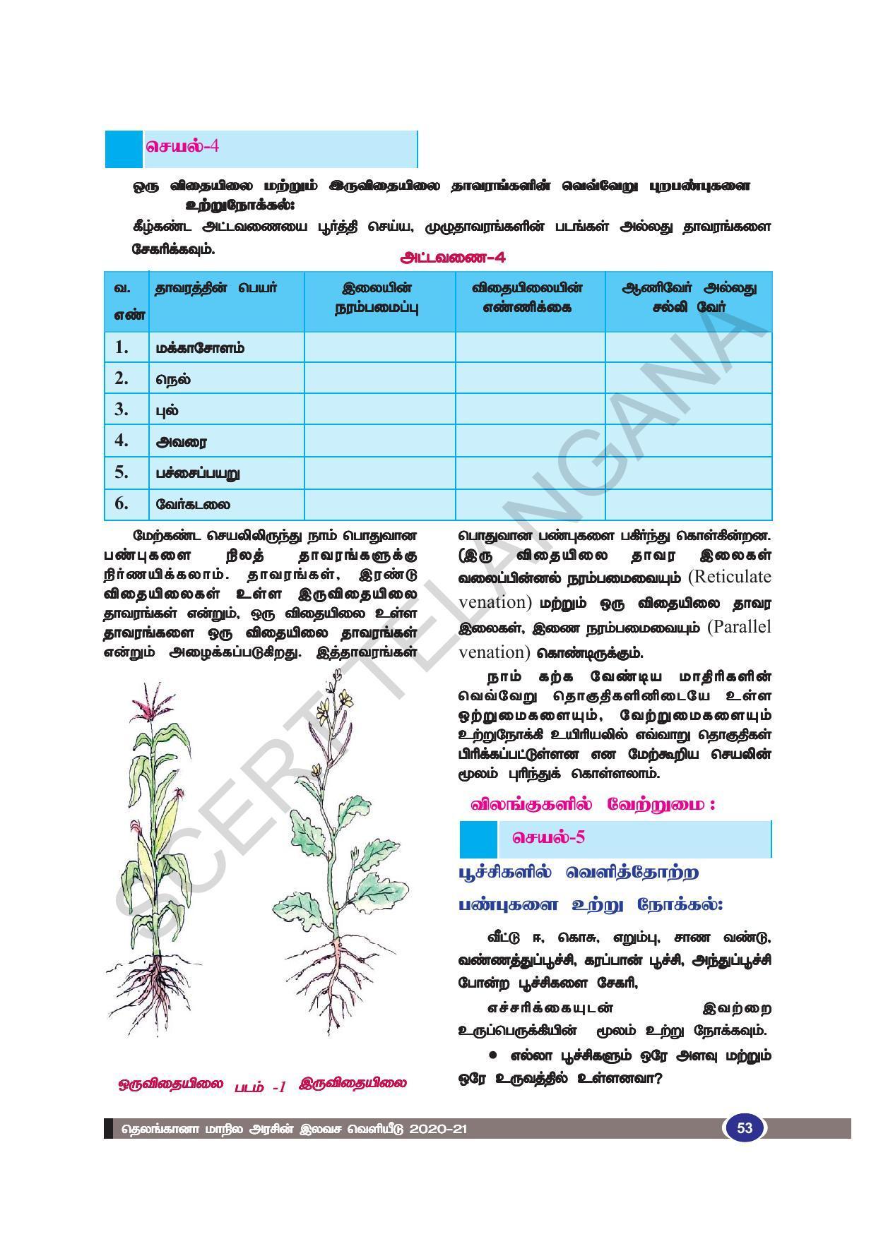TS SCERT Class 9 Biological Science (Tamil Medium) Text Book - Page 65