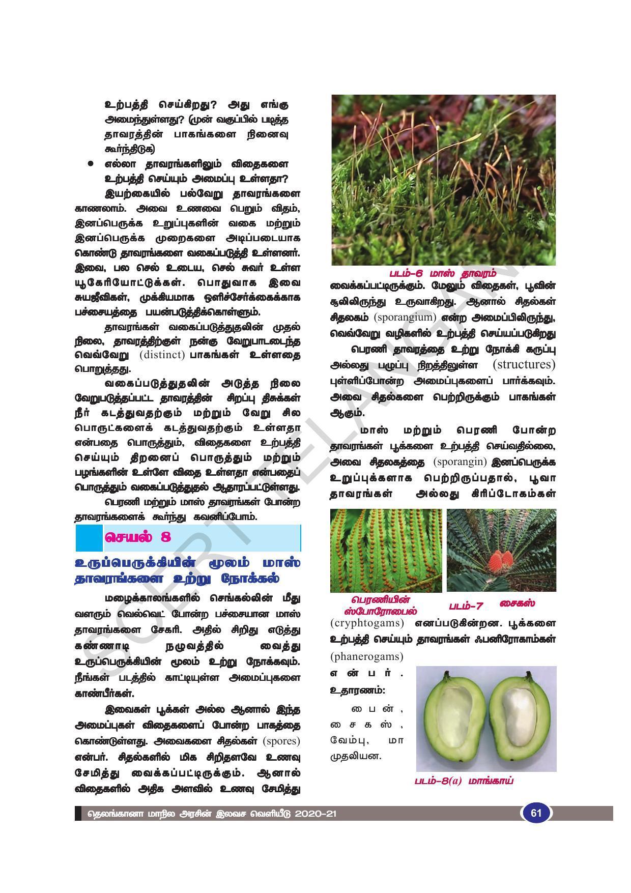 TS SCERT Class 9 Biological Science (Tamil Medium) Text Book - Page 73