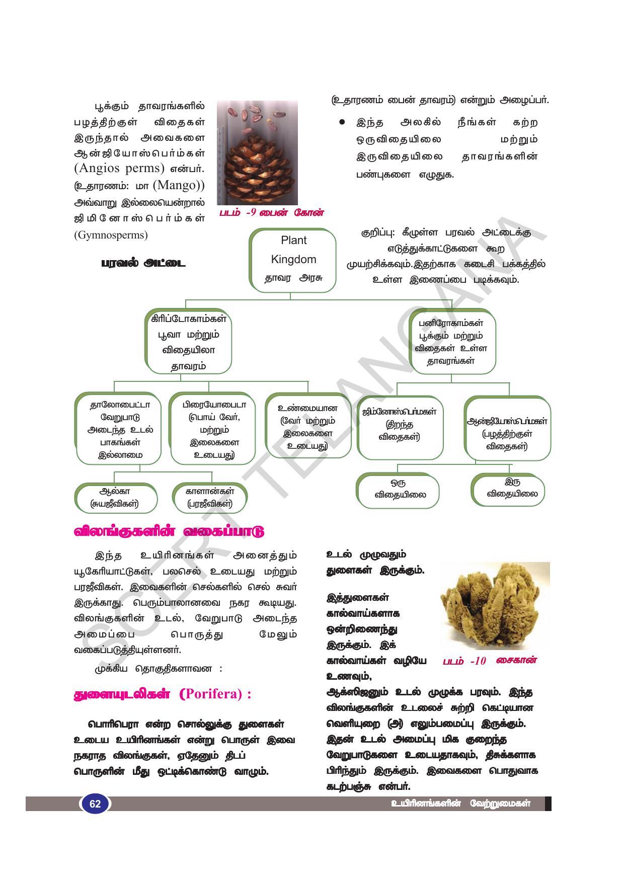 TS SCERT Class 9 Biological Science (Tamil Medium) Text Book - Page 74