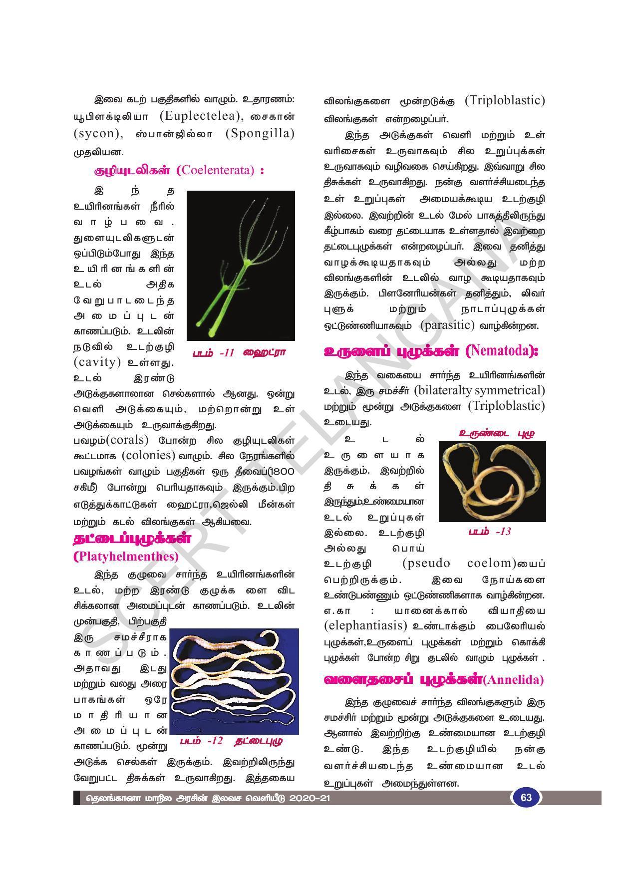 TS SCERT Class 9 Biological Science (Tamil Medium) Text Book - Page 75