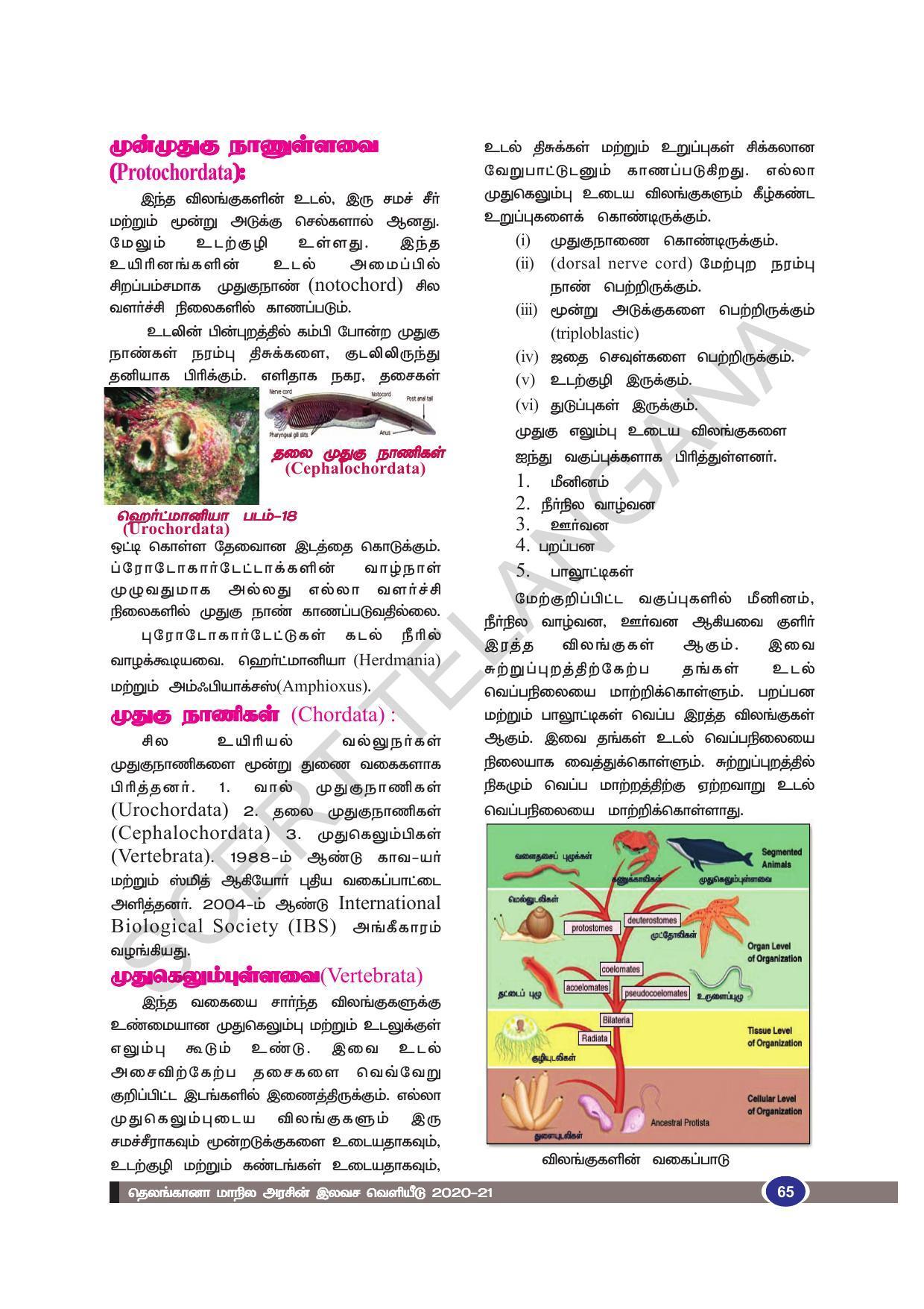 TS SCERT Class 9 Biological Science (Tamil Medium) Text Book - Page 77