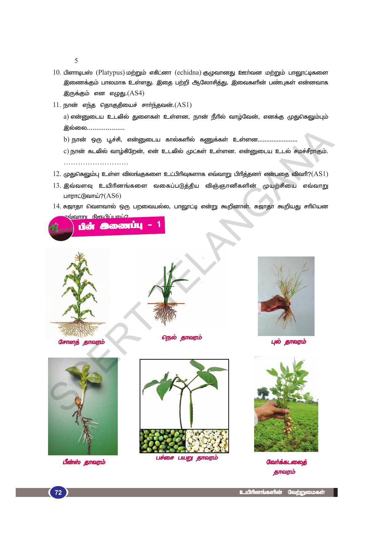 TS SCERT Class 9 Biological Science (Tamil Medium) Text Book - Page 84