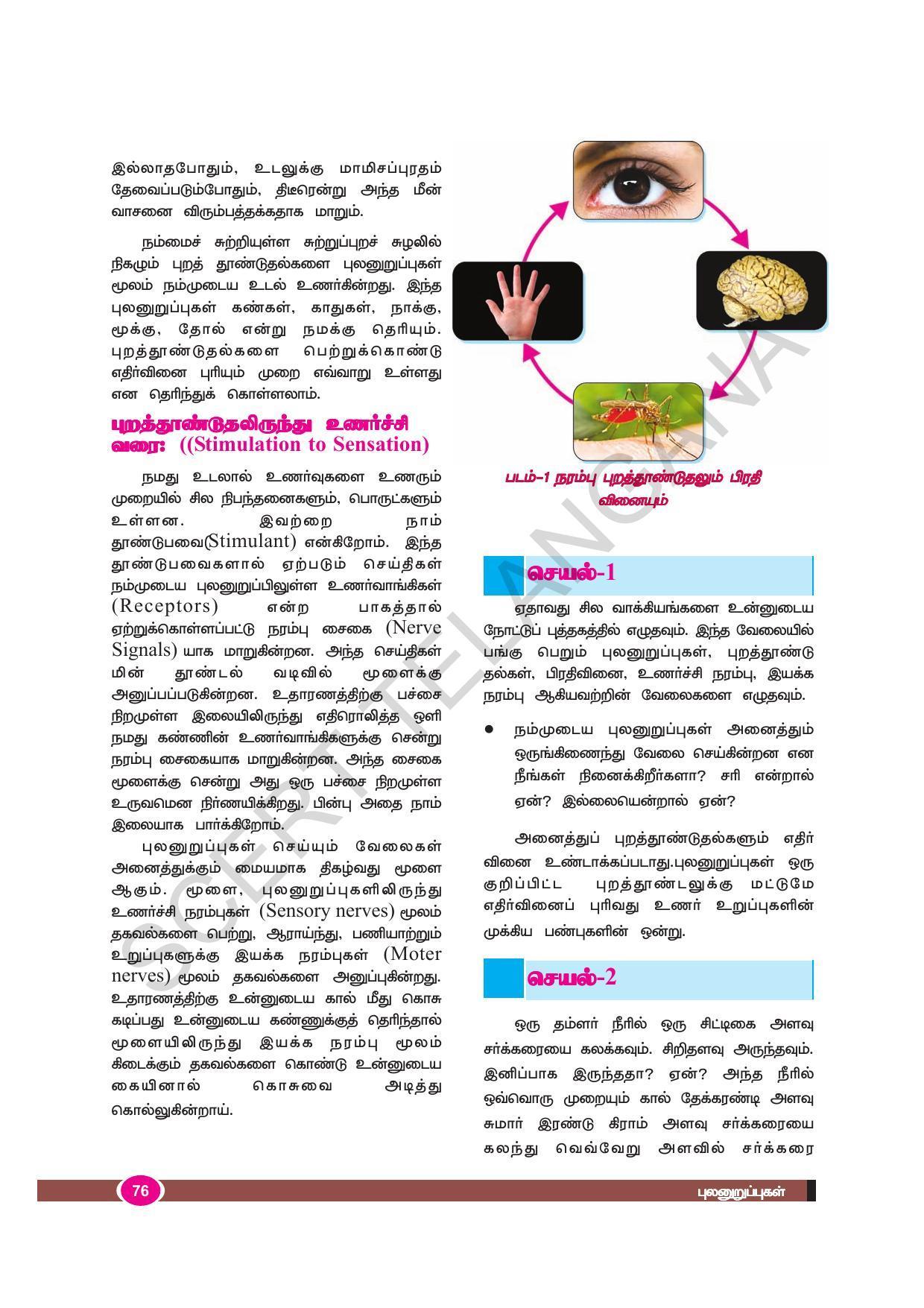 TS SCERT Class 9 Biological Science (Tamil Medium) Text Book - Page 88