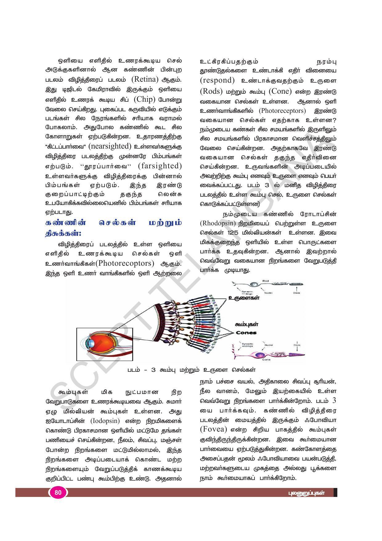 TS SCERT Class 9 Biological Science (Tamil Medium) Text Book - Page 92