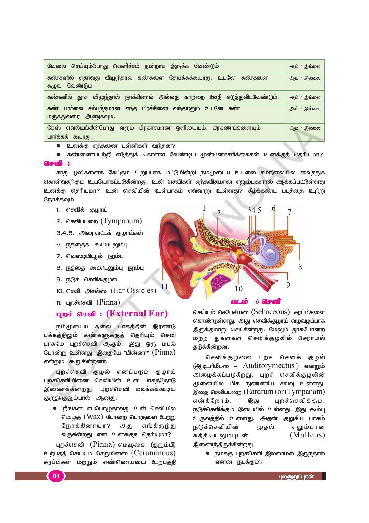 TS SCERT Class 9 Biological Science (Tamil Medium) Text Book - Page 96