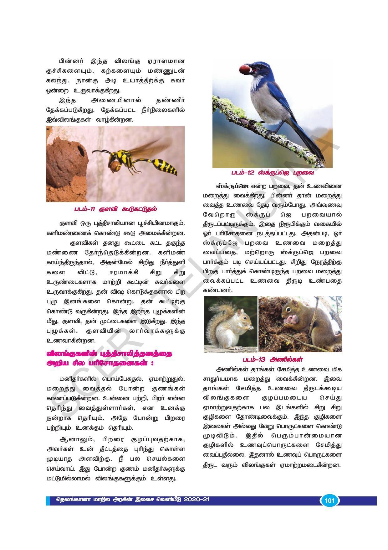 TS SCERT Class 9 Biological Science (Tamil Medium) Text Book - Page 113
