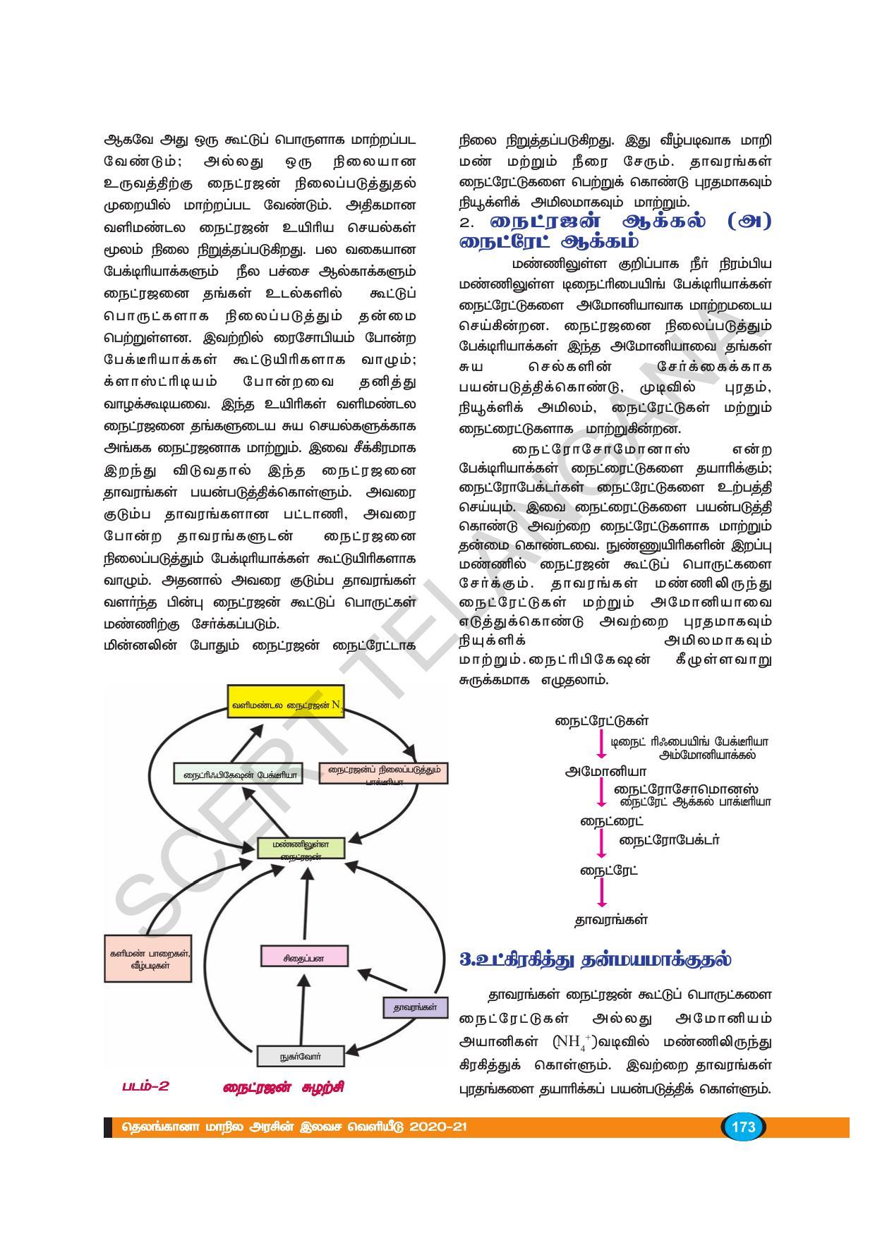 TS SCERT Class 9 Biological Science (Tamil Medium) Text Book - Page 185