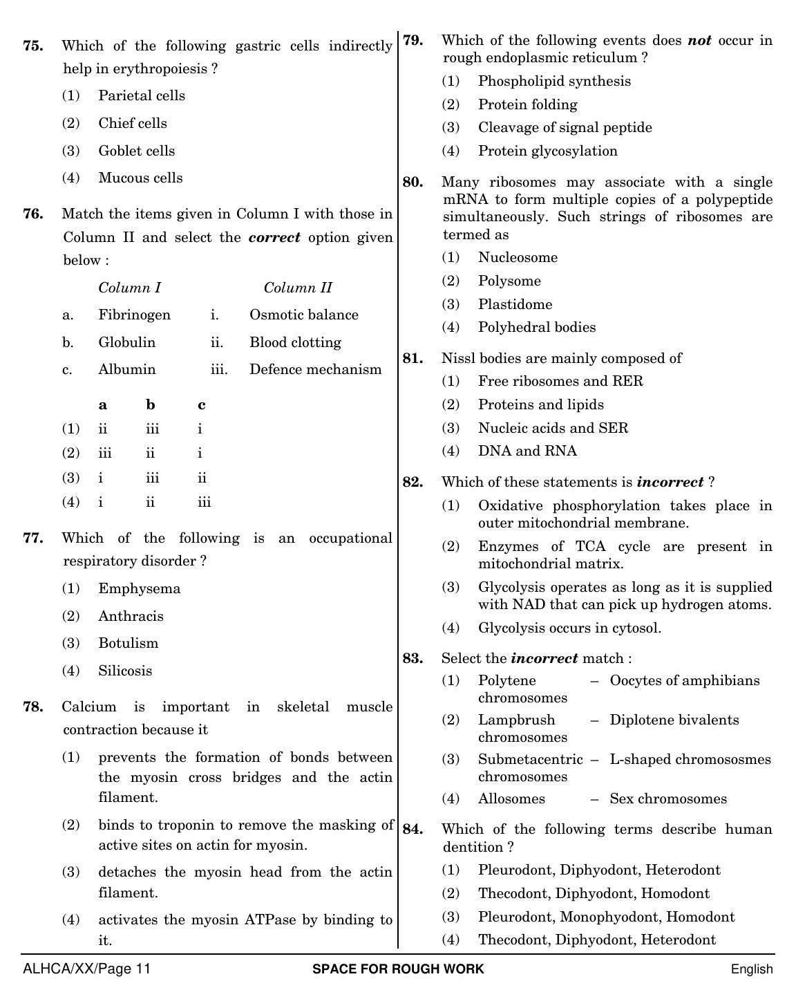 NEET English XX 2019 Question Paper - Page 11